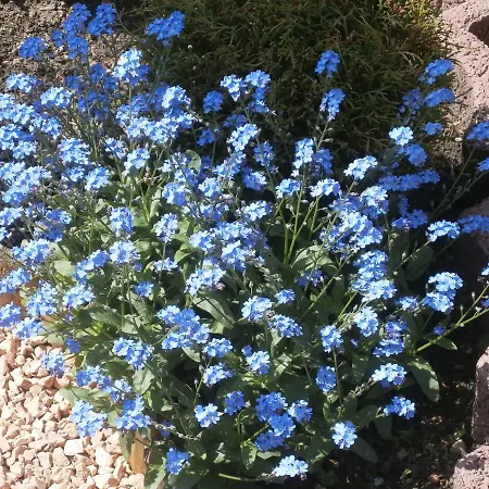 Ferienstudios Weindl *